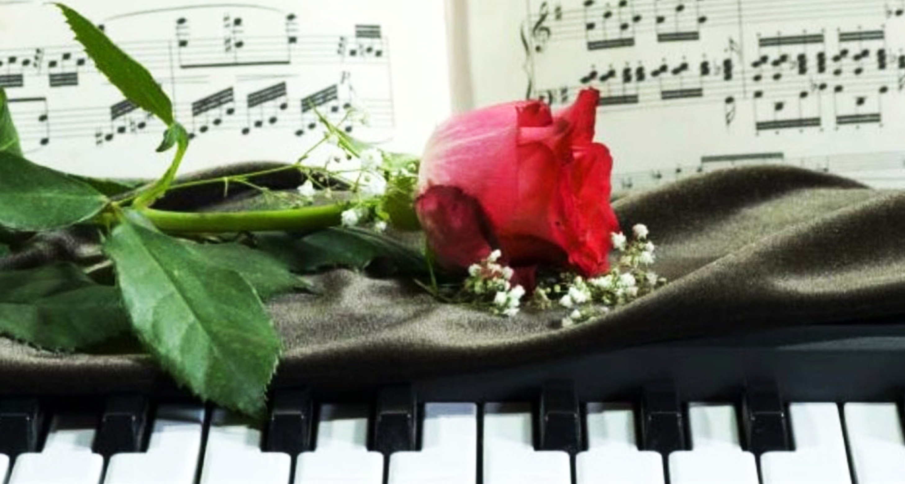 Нежный праздник песня. Цветы для музыканта. Музыкальный цветок. Музыкальный букет цветов. Цветы на рояле.