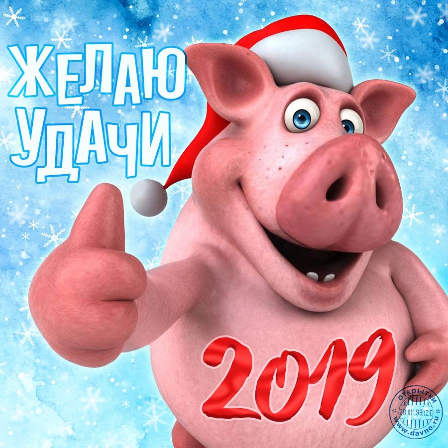 Новогодний плакат год свиньи