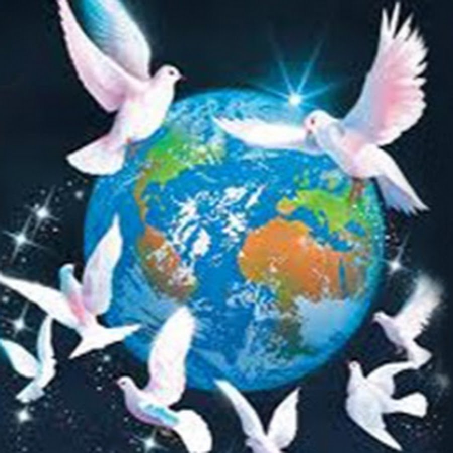 Мир на земле голубь мира