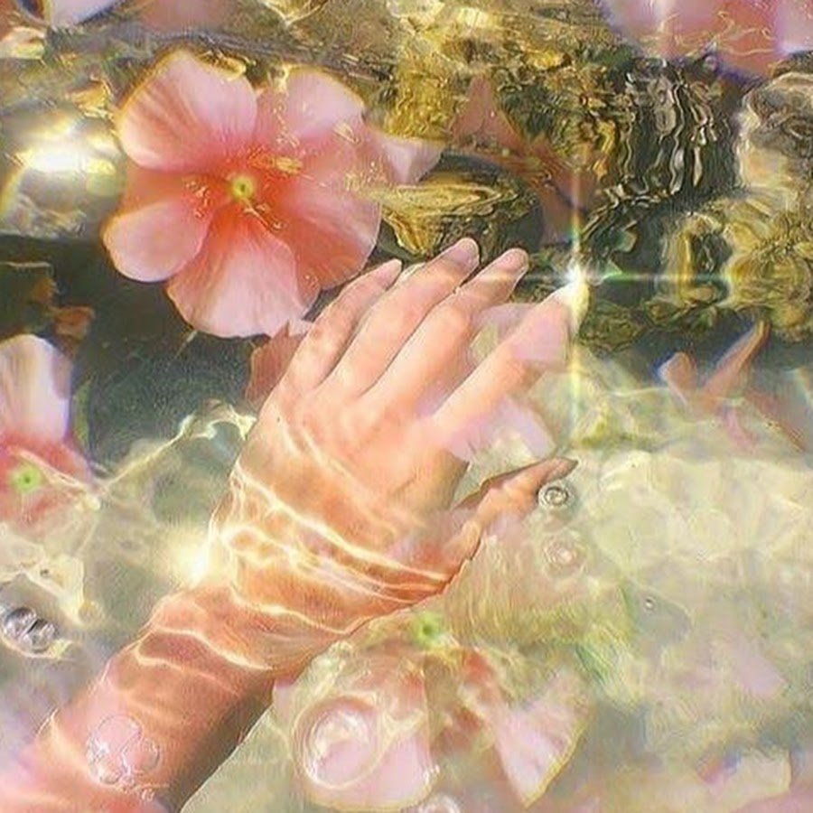 Эстетика цветов в воде