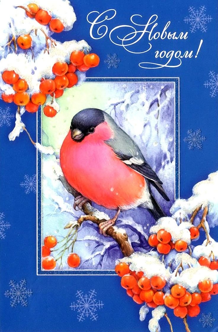 Новогодняя открытка со снигирям