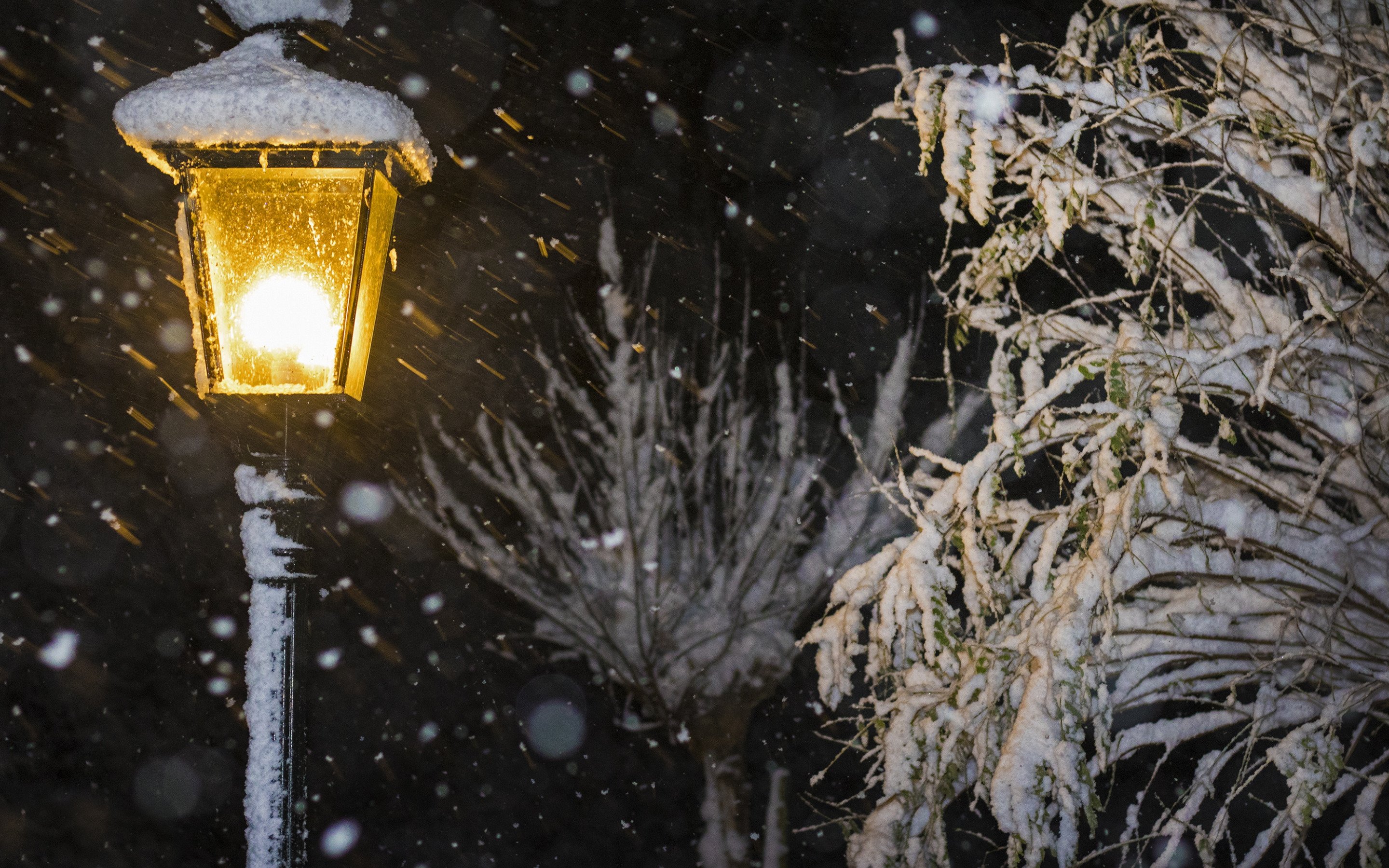 Новогодний метель. Зимний фонарь. Ночной снегопад. Уличный фонарь и снег. Снег фонарь.