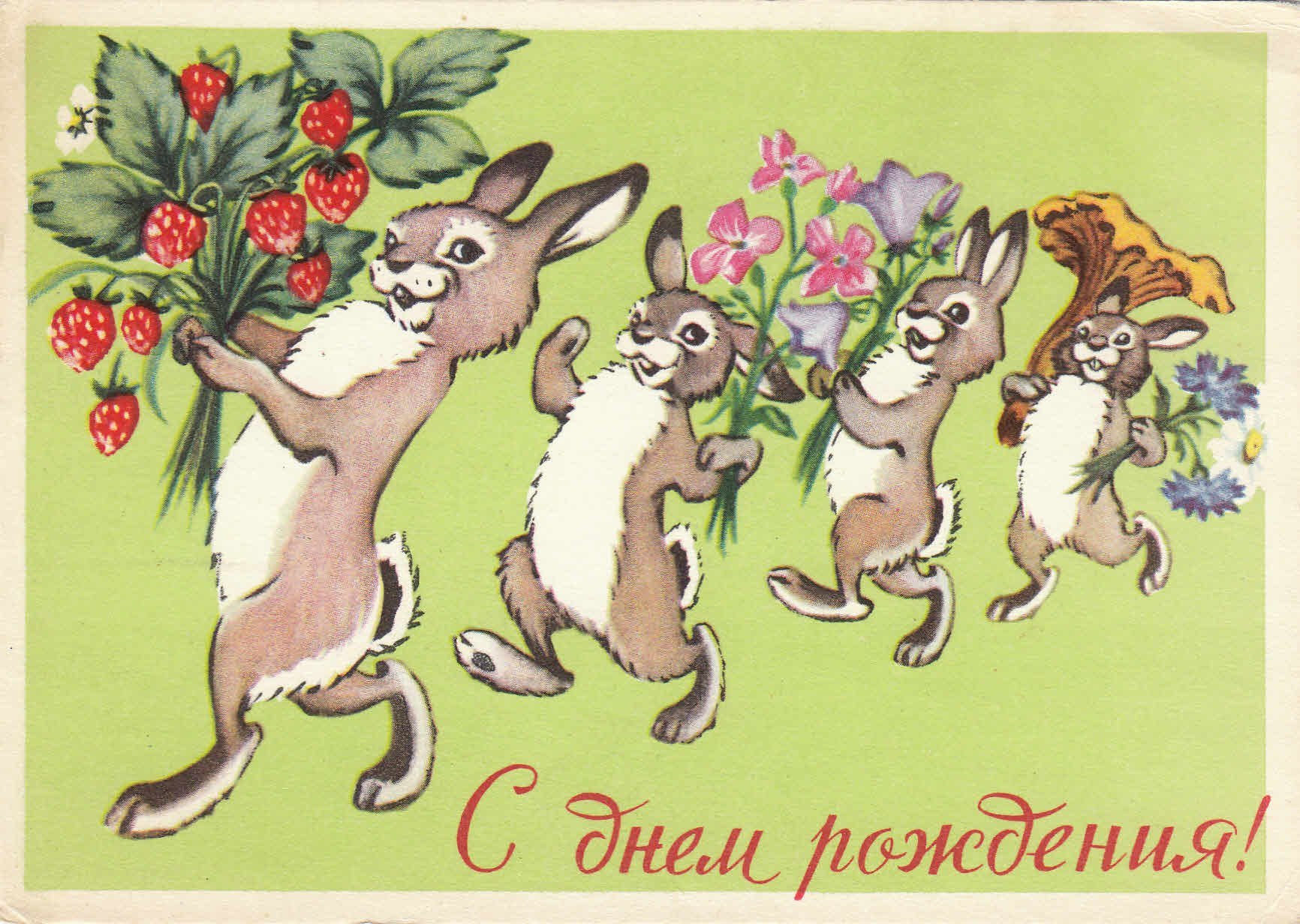 Поздравление зайца с днем рождения. С днем рождения. Открытка с днём рождения. С днём рождения советские открытки. С днем рождения советские открытие.