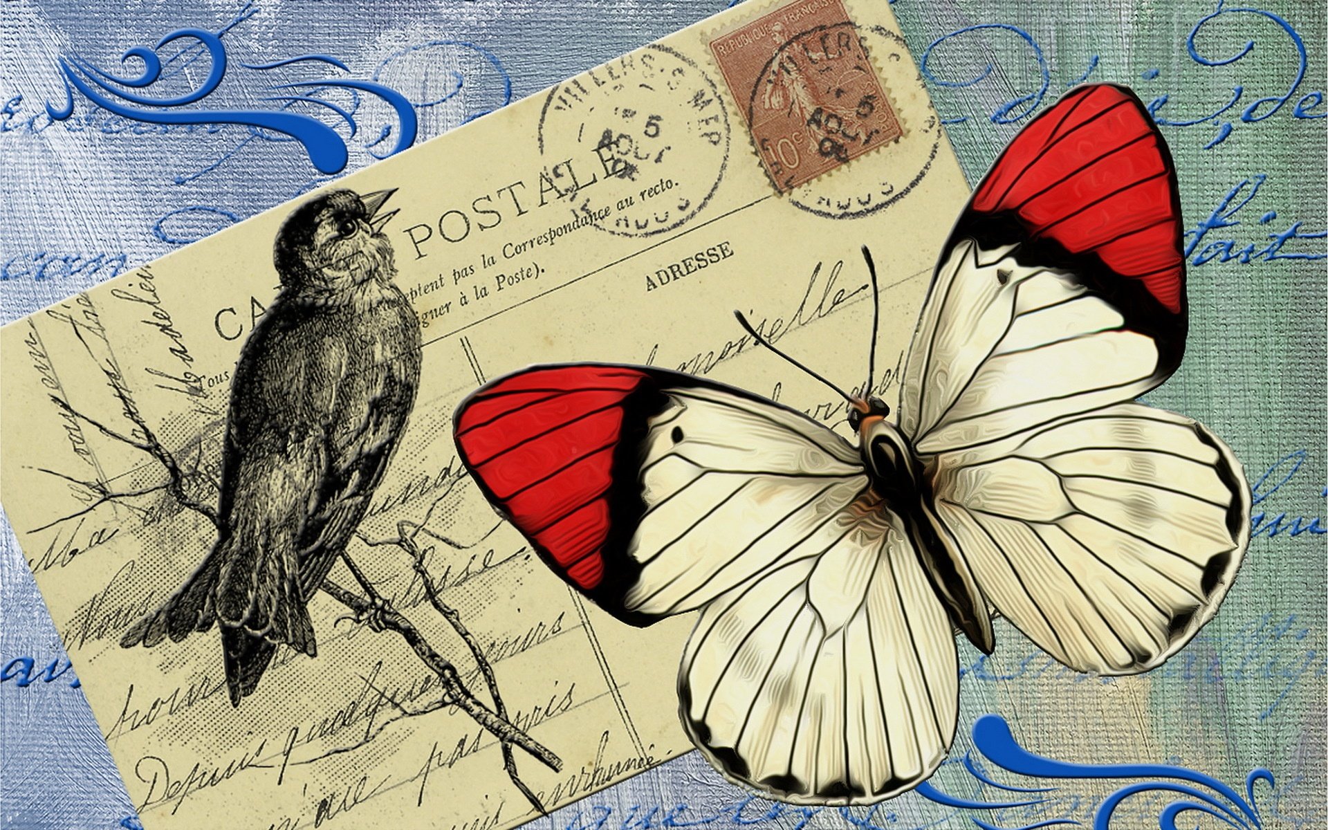 Picture postcard. Винтажные открытки с бабочками. Старинные открытки бабочки. Бабочки для декупажа. Винтажные картинки бабочки.