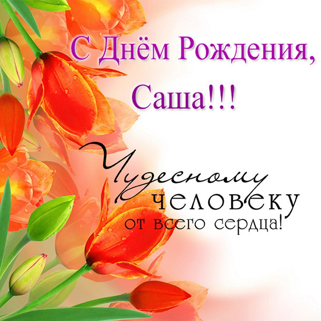 Прикольные поздравления с днем рождения Александру 💐 – бесплатные пожелания на Pozdravim