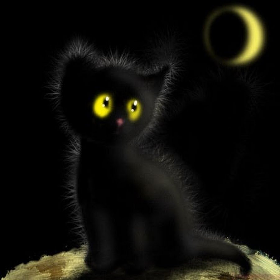 Спокойной ночи черный кот