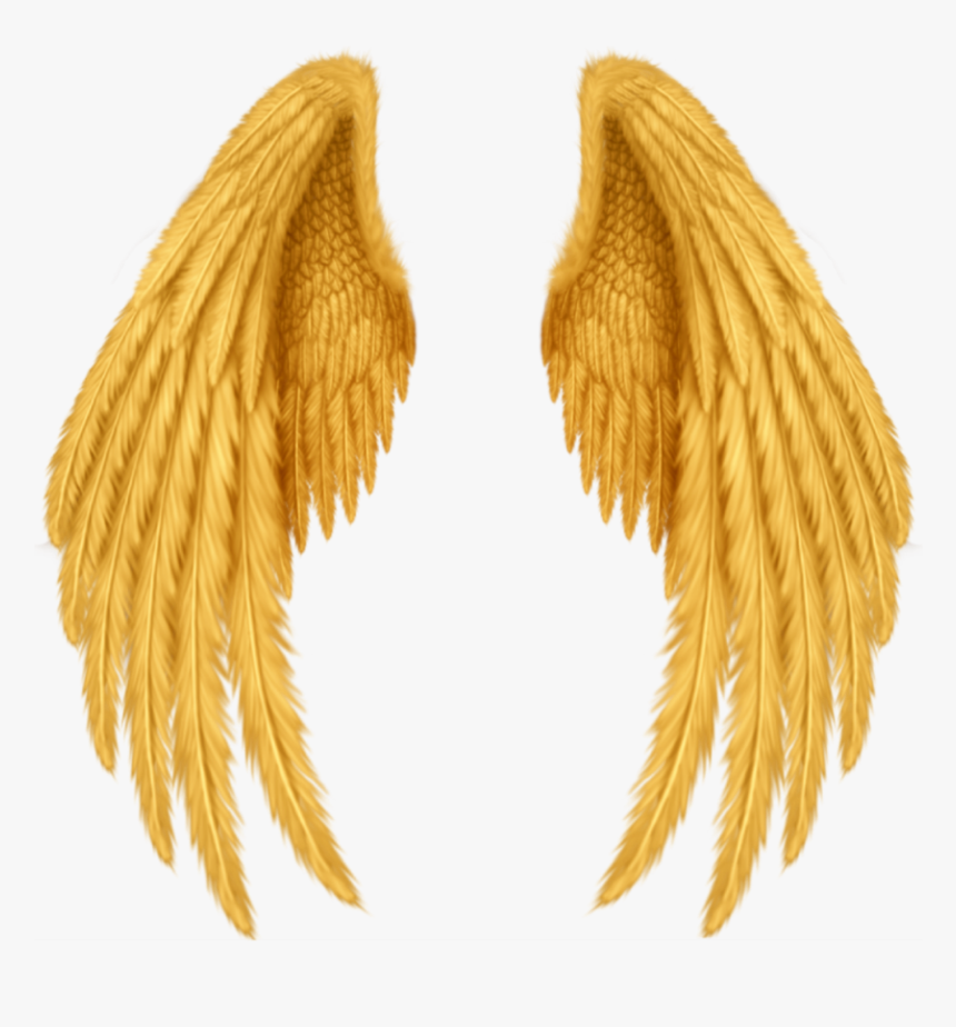 Желтые Крылья