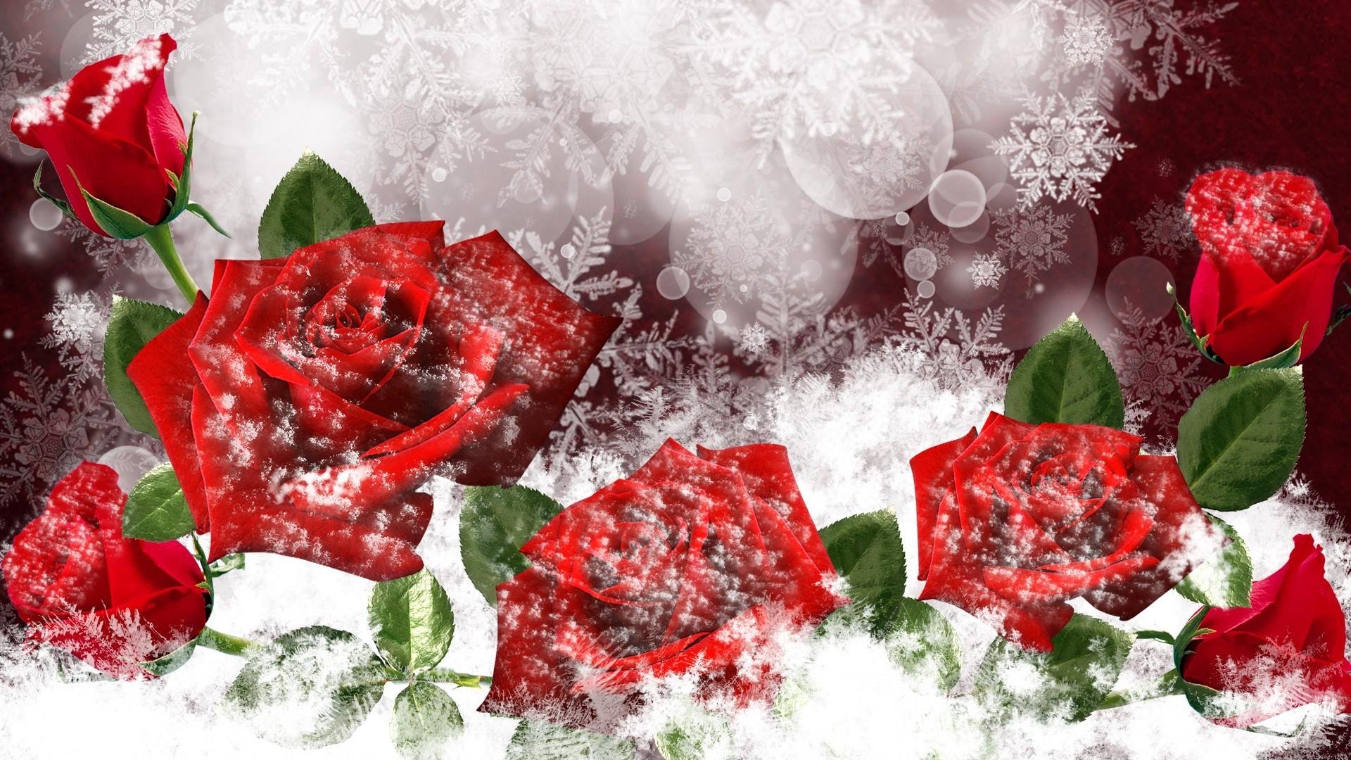 День рождения зимняя открытка. Зимние цветы. Розы на снегу. Цветы зимой. Цветы на фоне снега.
