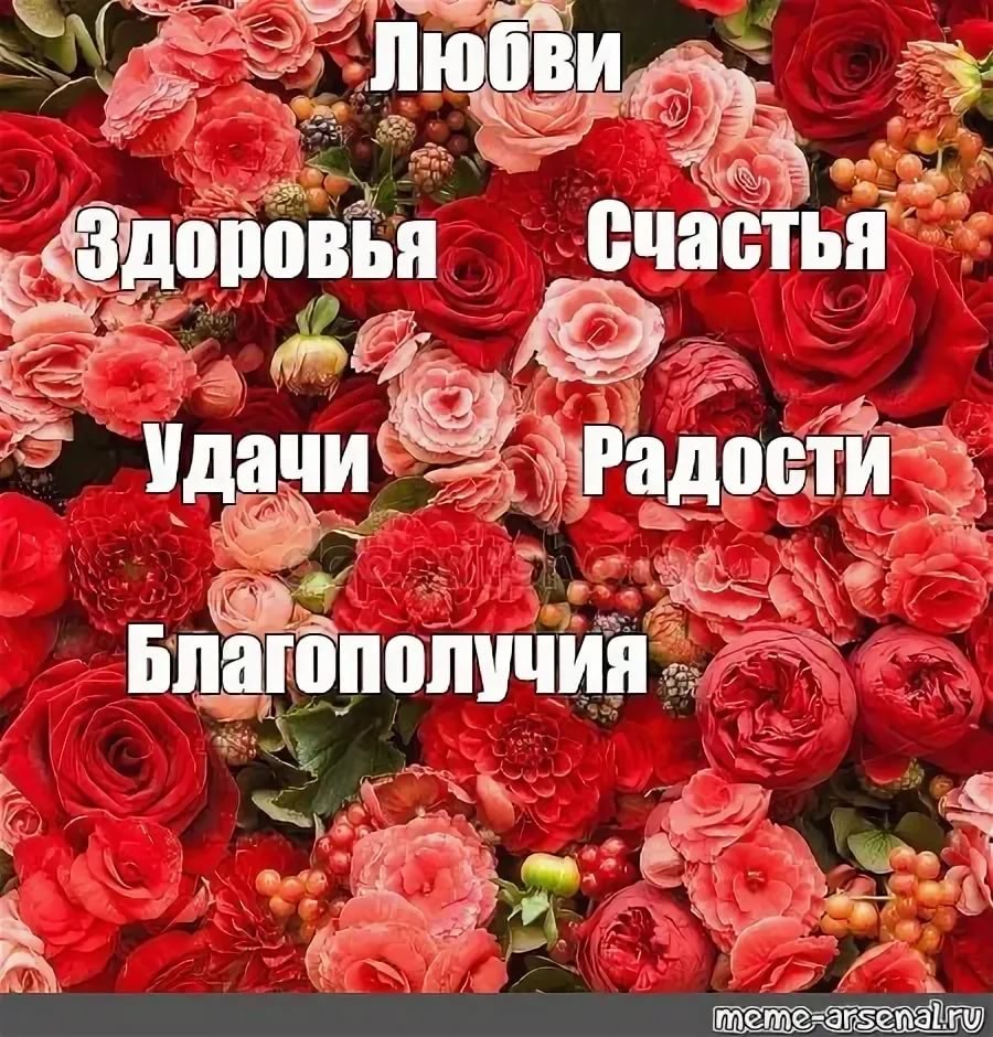 Счастья здоровья