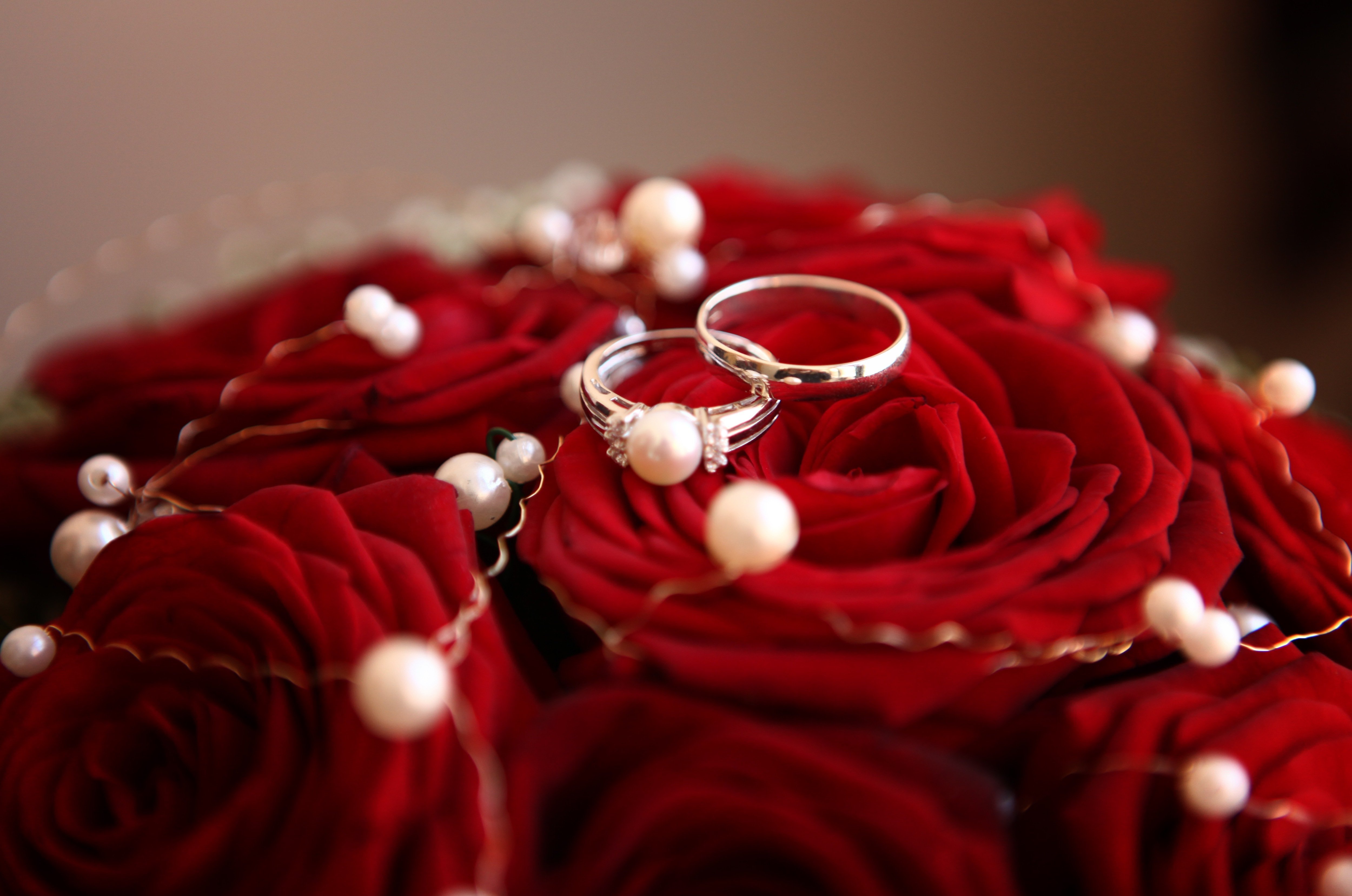 Фото кольца и цветов. Свадебные цветы с кольцами. Розы и обручальные кольца. Розы и жемчуг. Красные розы.