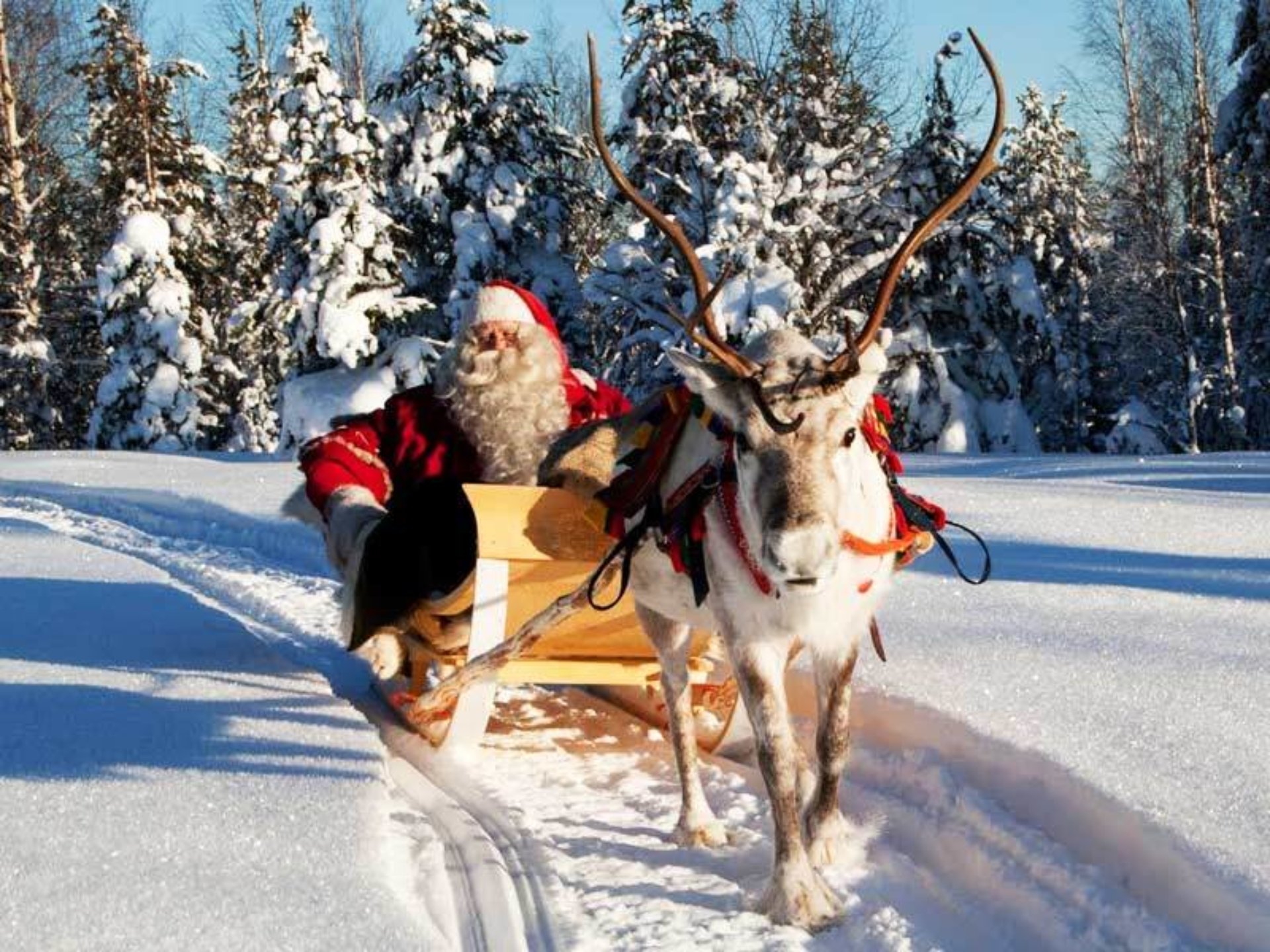 Дед мороз остановка. Йоулупукки с оленями. Финский йоулупукки. Оленья упряжка Санта Клауса. Олени Деда Мороза.