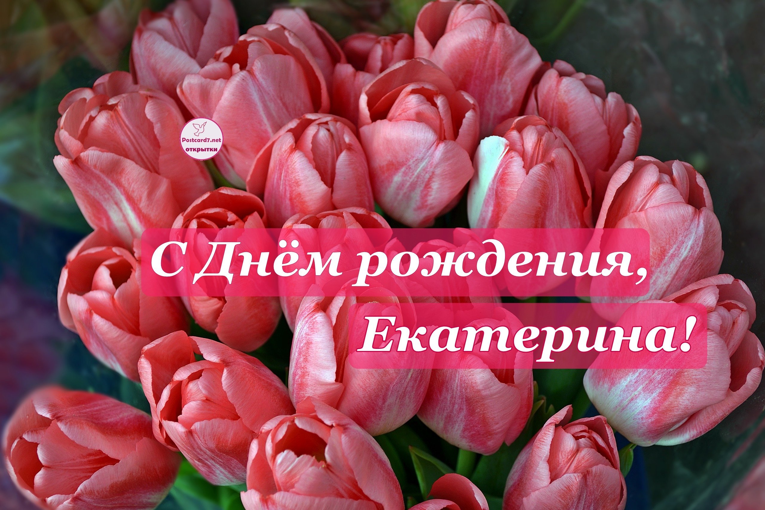 Красивые поздравления с днем рождения Екатерине 💐 – бесплатные пожелания на Pozdravim