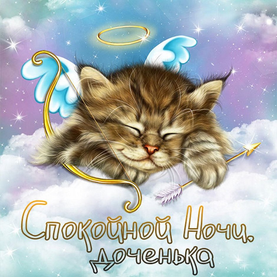 Спокойной ночи