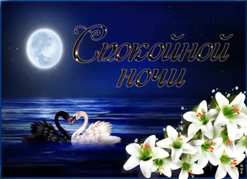 Спокойной ночи с цветами