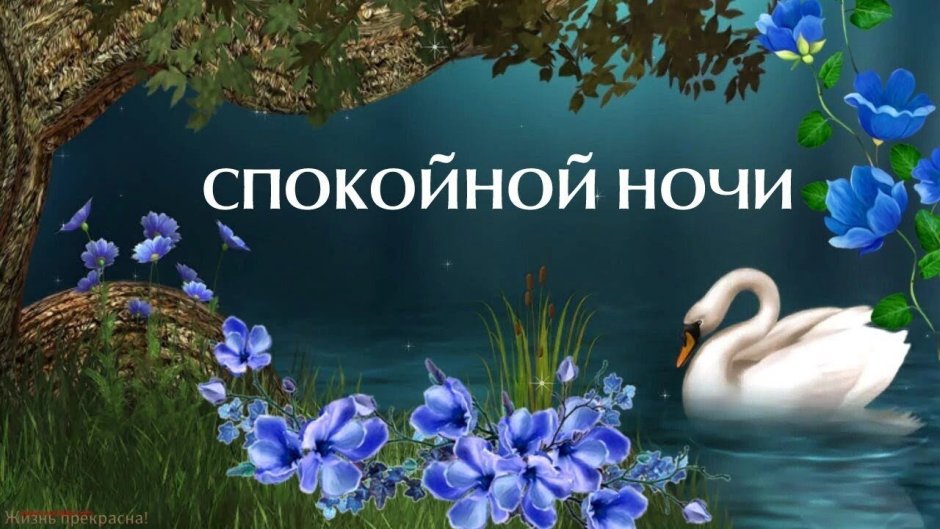 Гуднайт открытка