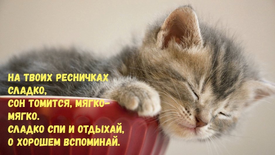 Звездные сны