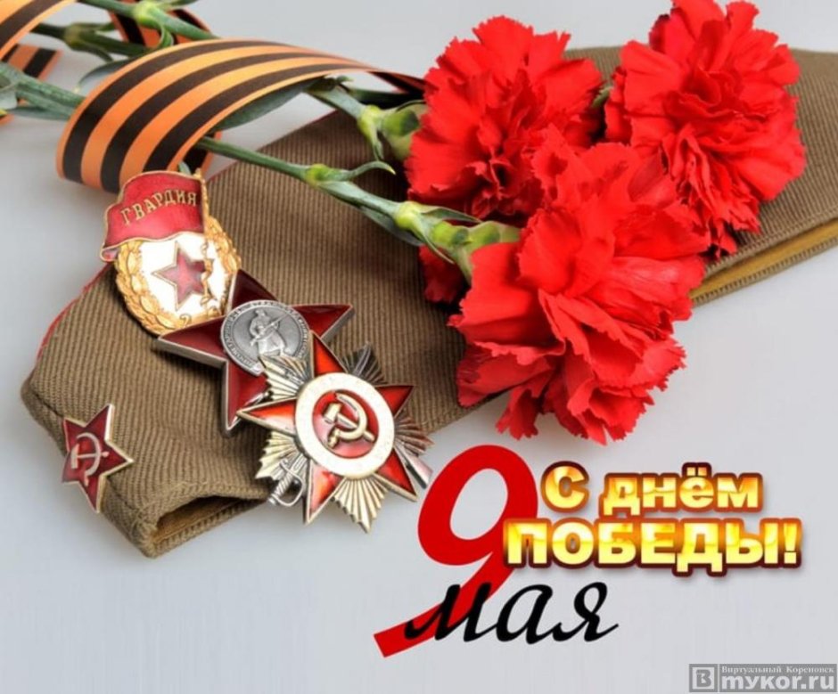 Гвоздики 9 мая