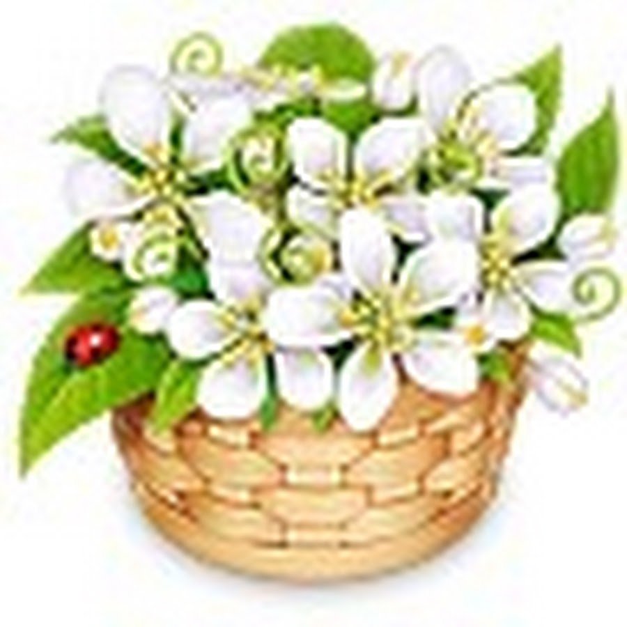 Обложка для интернет магазина