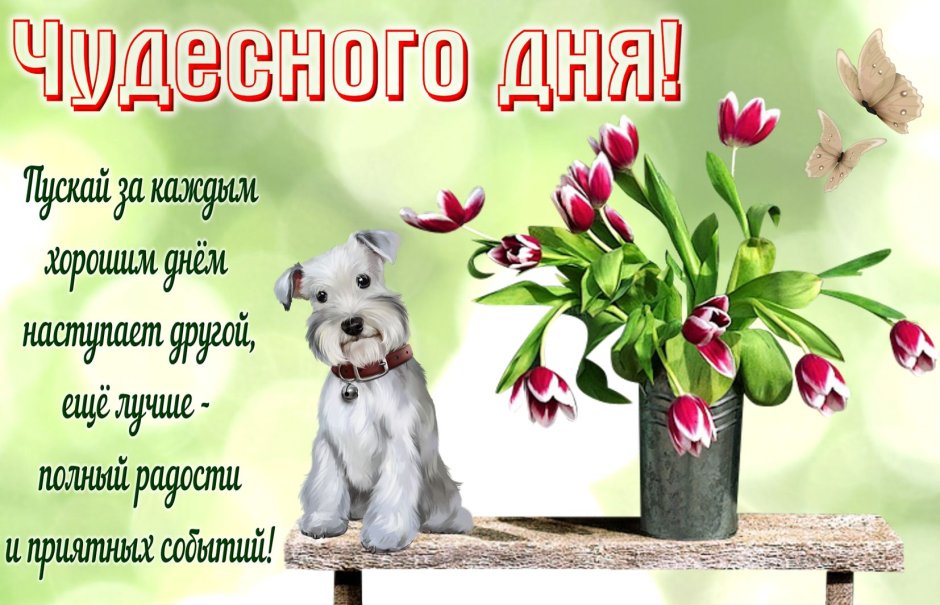 Поздравления с днём рождения женщине