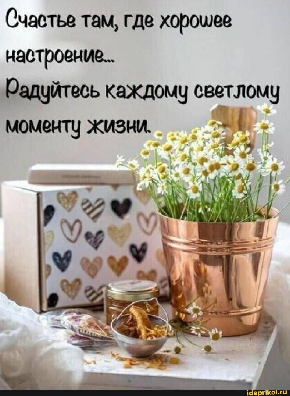 Цитаты про цветы