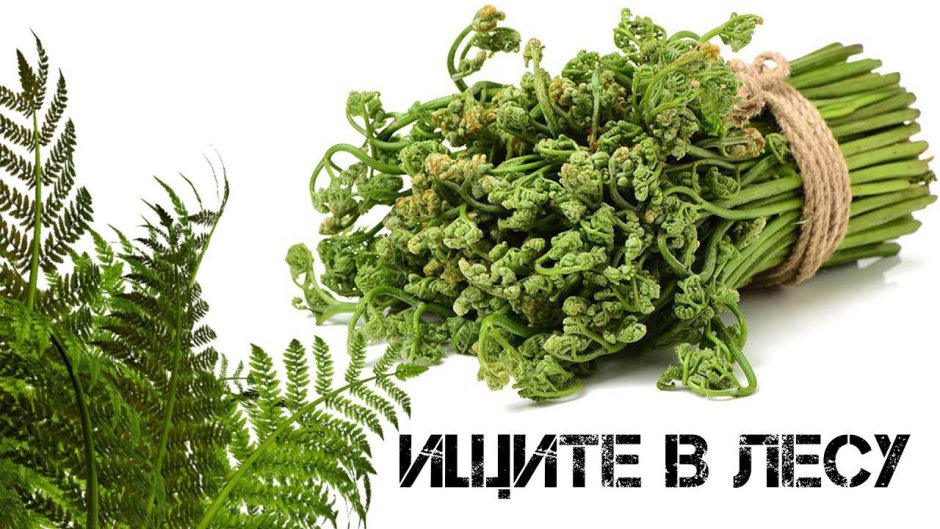 Эстетика зеленого и розового
