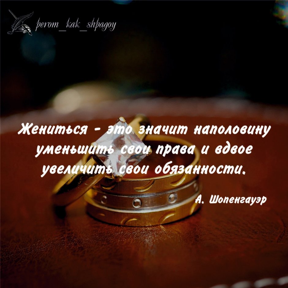 Белые розы обои