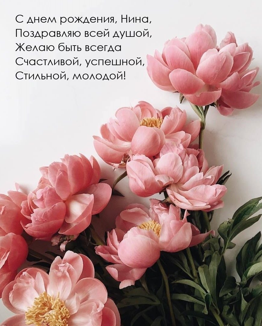 Пионы Эстетика Пинтерест