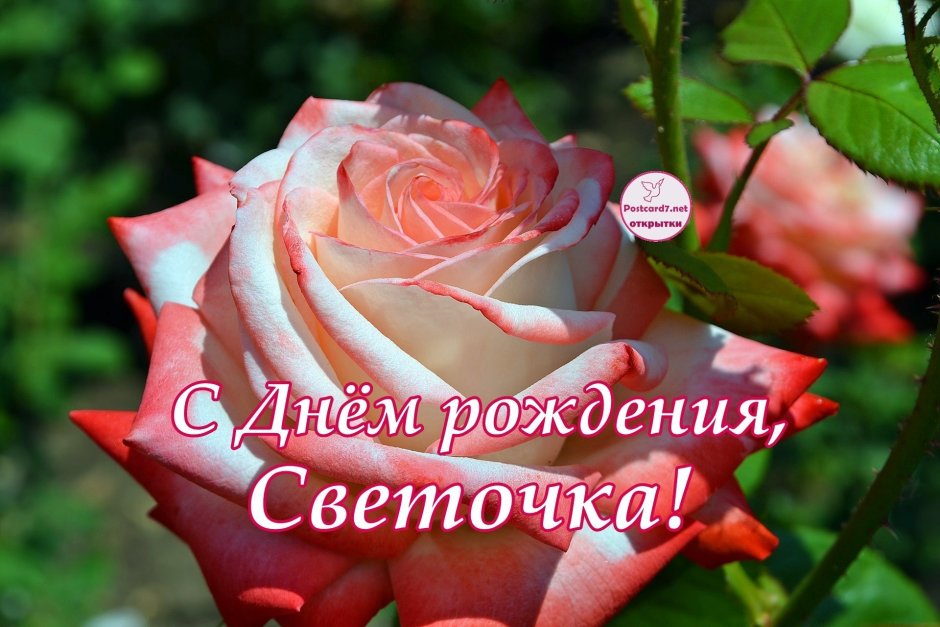 С днем рождения све очка