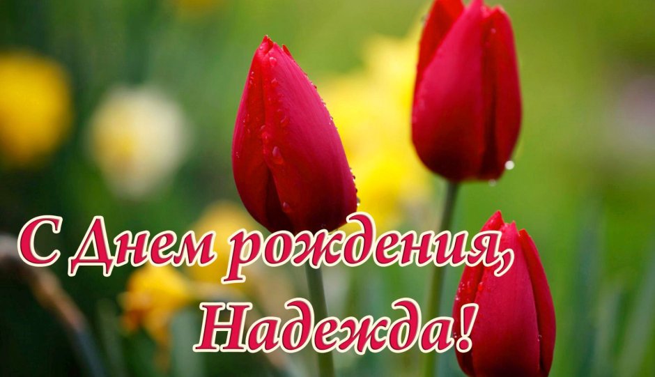 Цветы фон для открытки