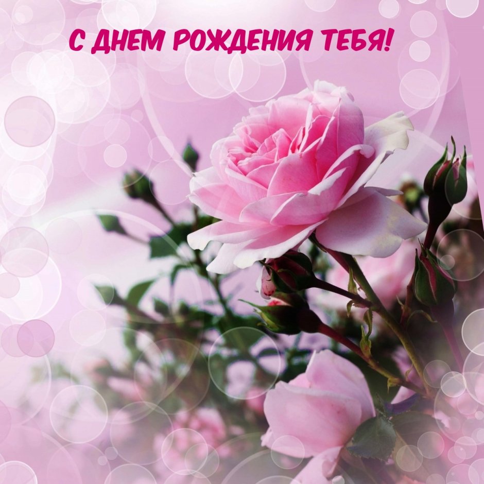 Татьянин день