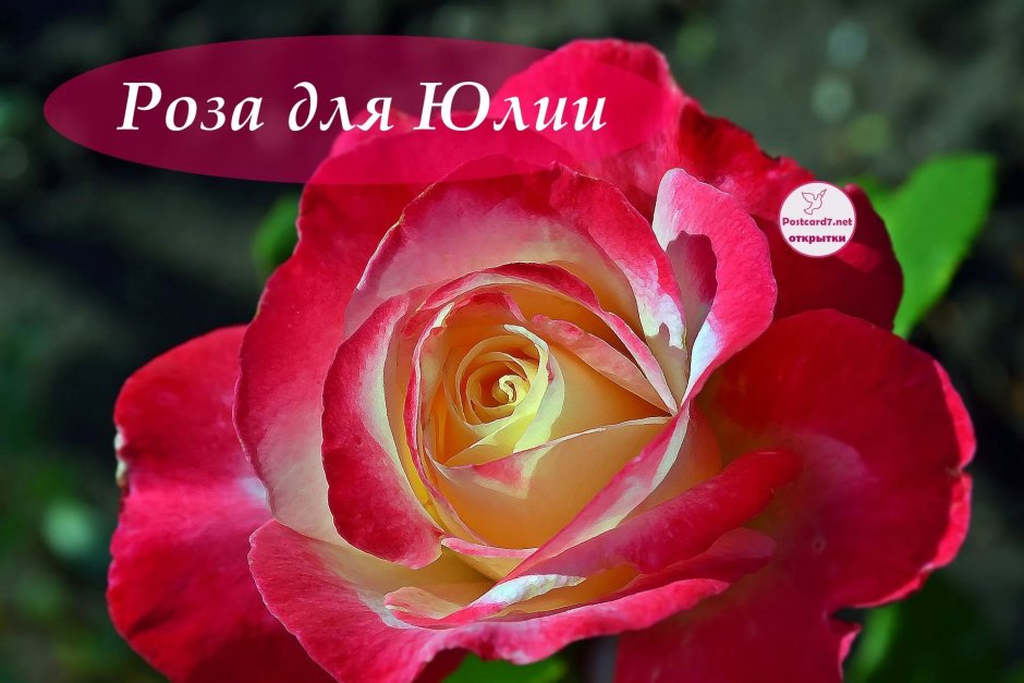С днём рождения Ангелина