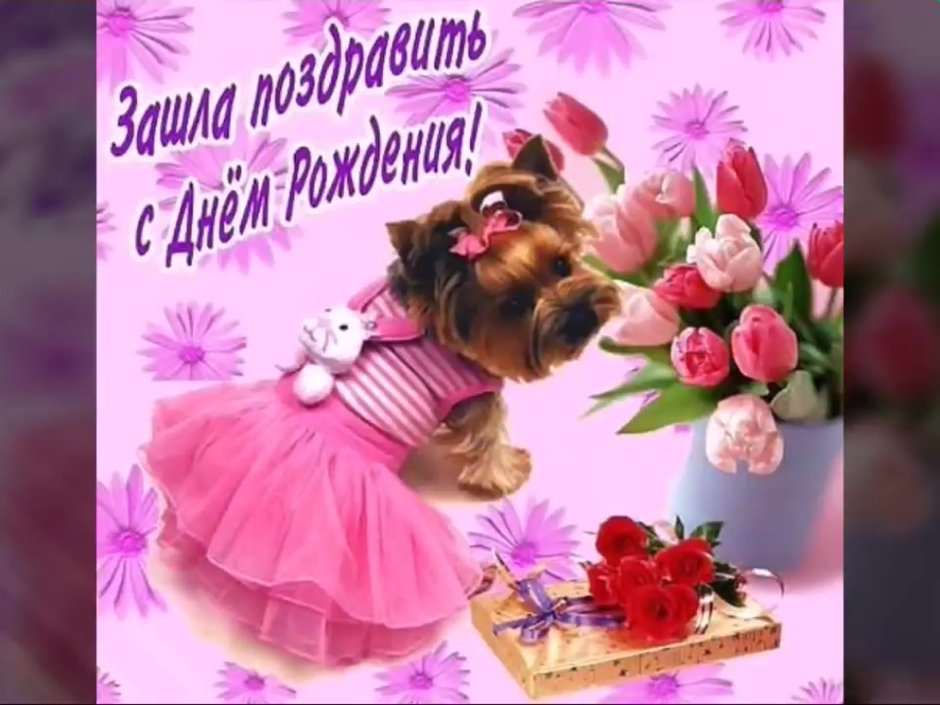 Поздравления с днём рождения