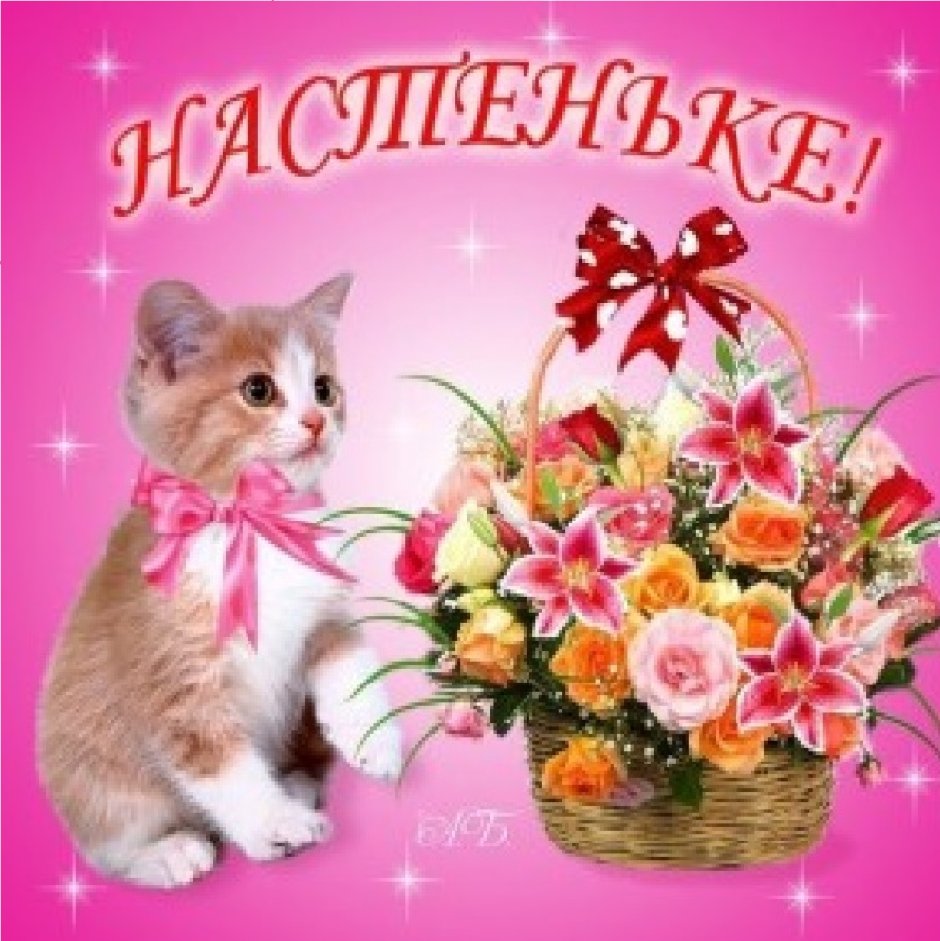 С днём рождения Настя