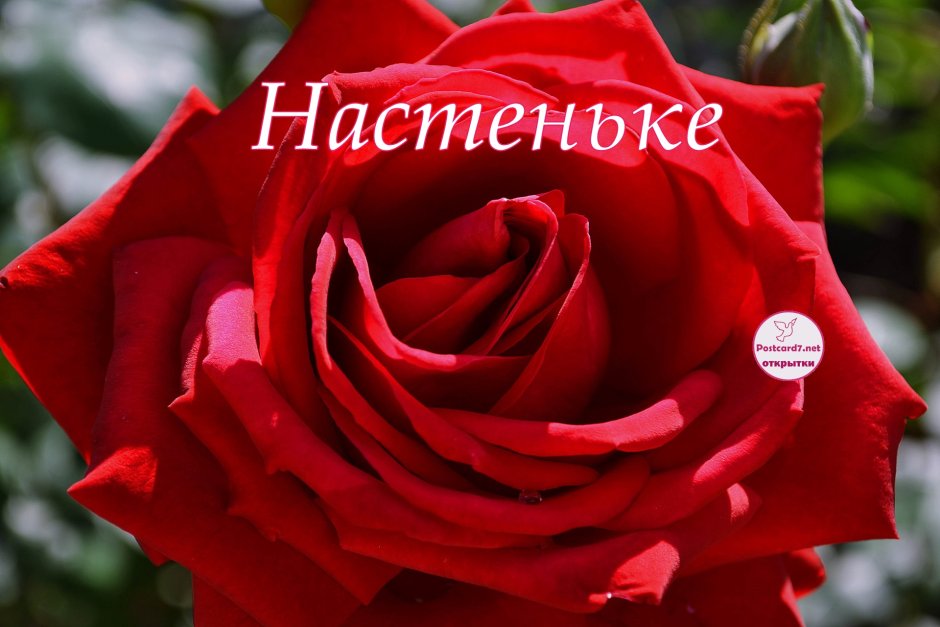 С днем рождения, доченька!