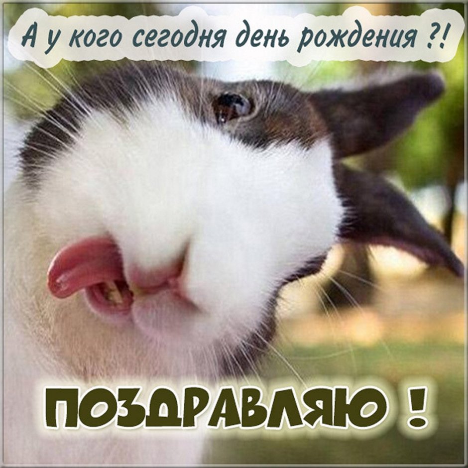 Поздравления с днём рождения Елене