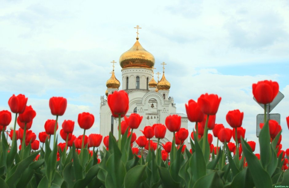 Пасха фон