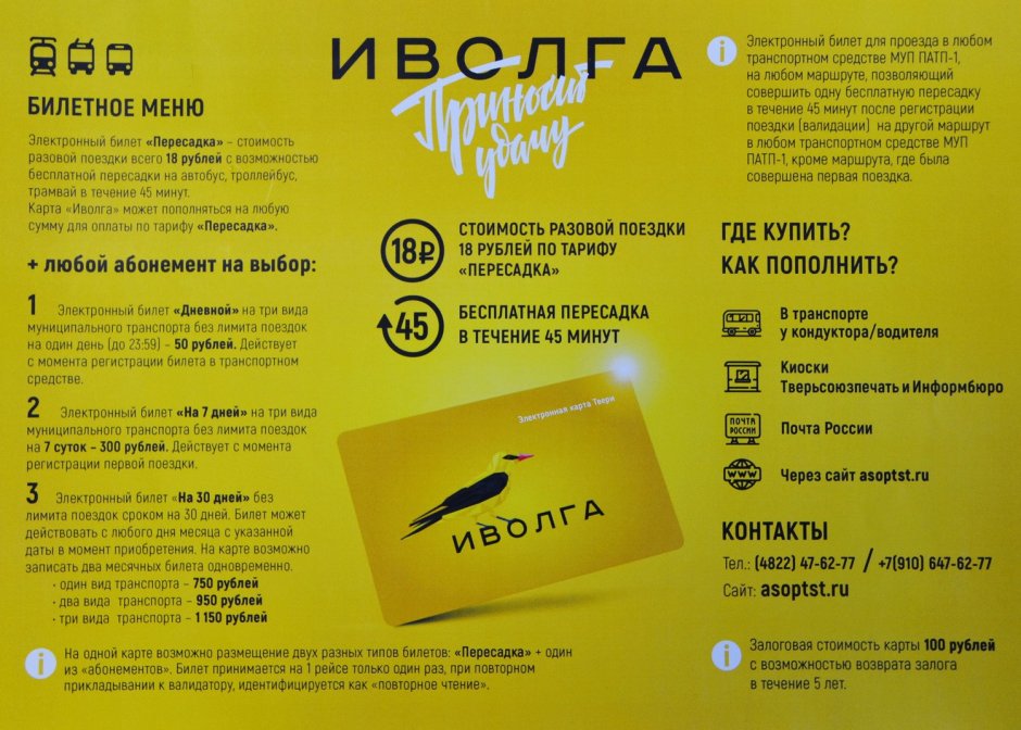 Иволга детская Дуда