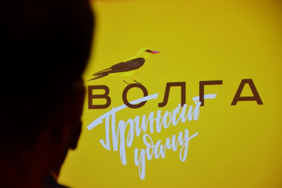 Иволга форум 2022