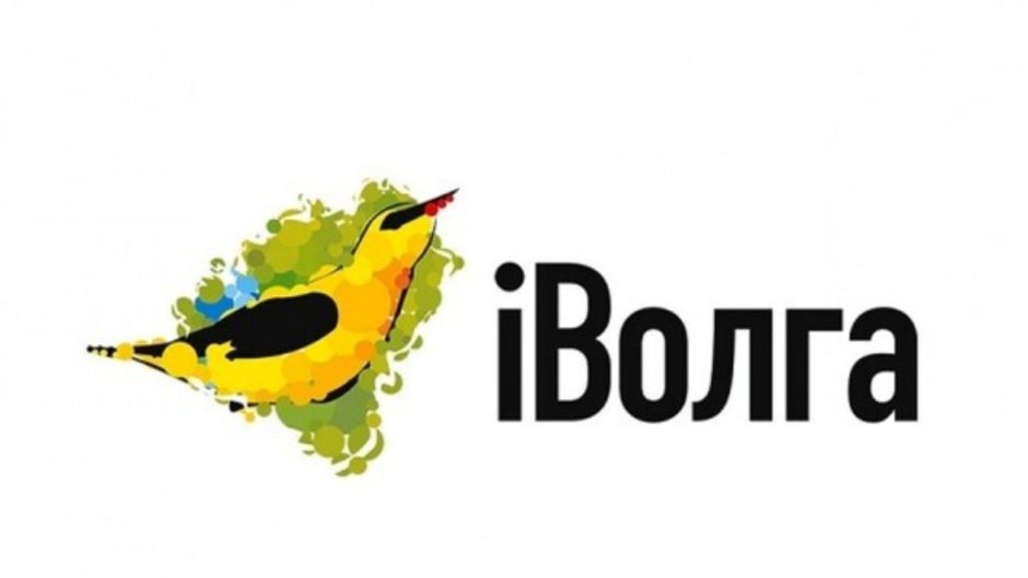 Иволга брошь