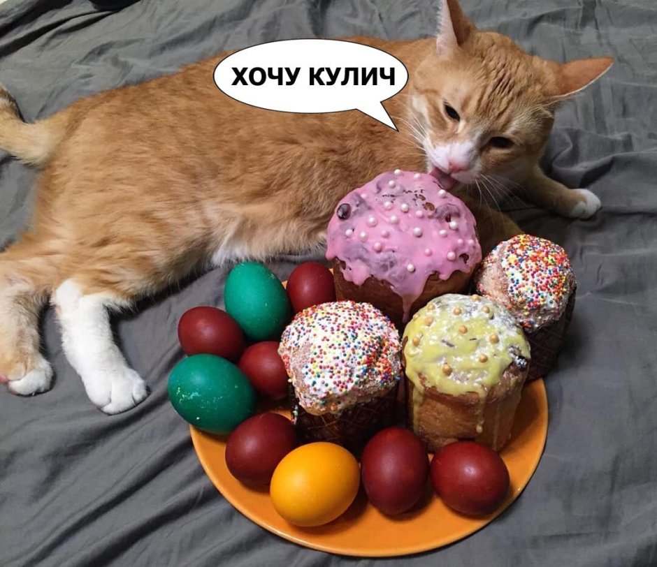 Пасхальный кот