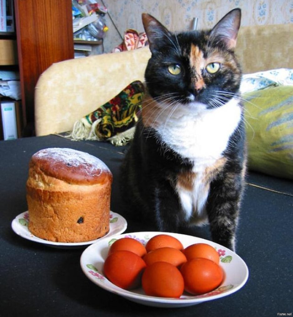 Кошки и Пасха