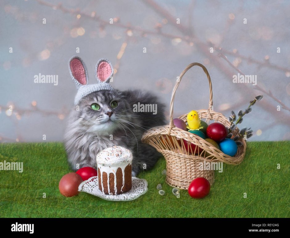 Кот и кулич