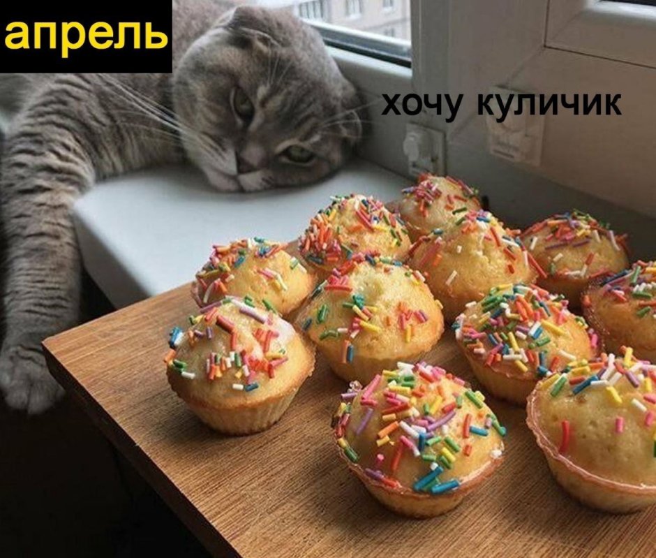 Кот Пасхальный заяц