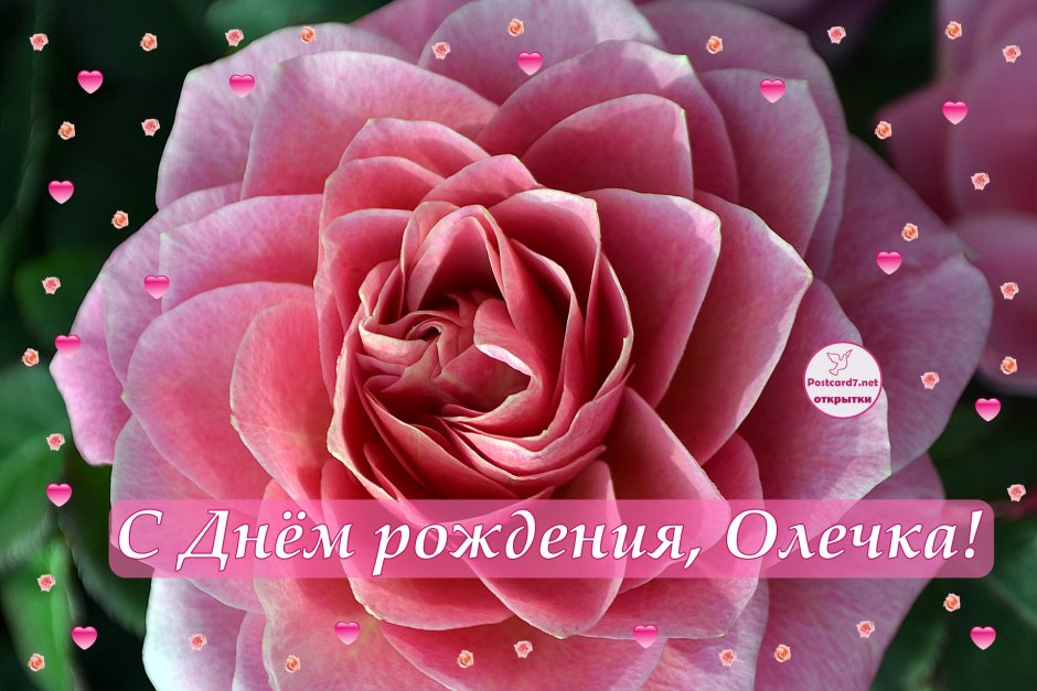 Поздравления с днём рождения Оле