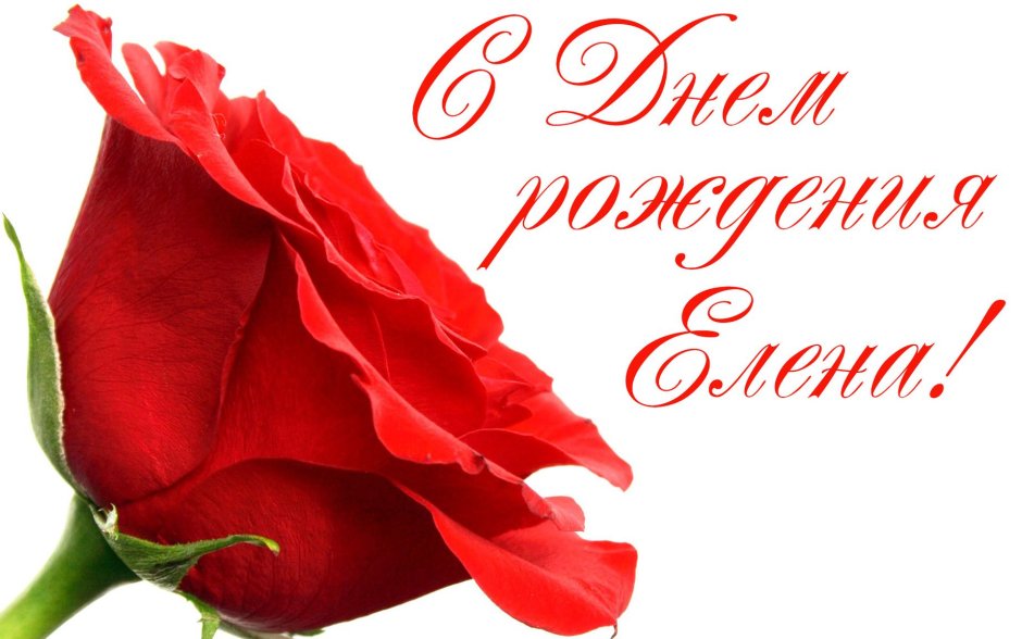 С днём рождения Леночка