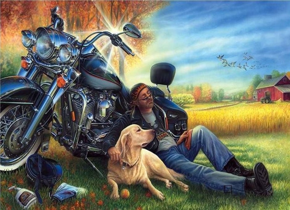 David Mann и Харлей Дэвидсон