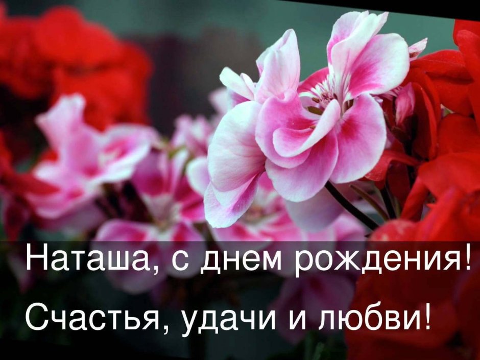Красивые поздравления с днем рож