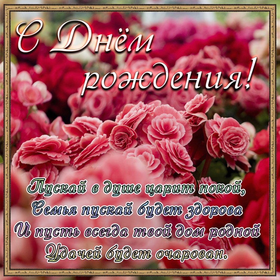 Сиднем рождения Наташа