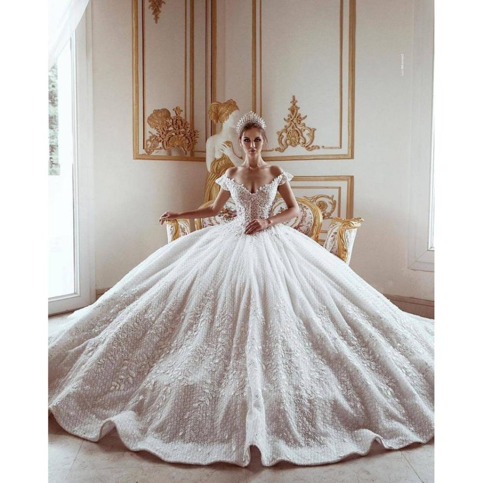Pronovias Wedding Dresses