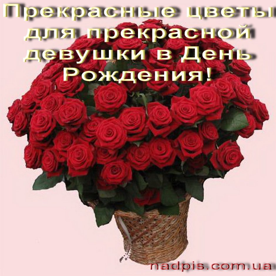 Красивые поздравления с днем рождения